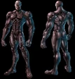 Male Art