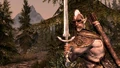 Bosmer Skyrim.jpg