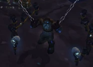 StonefatherOremantleNRC