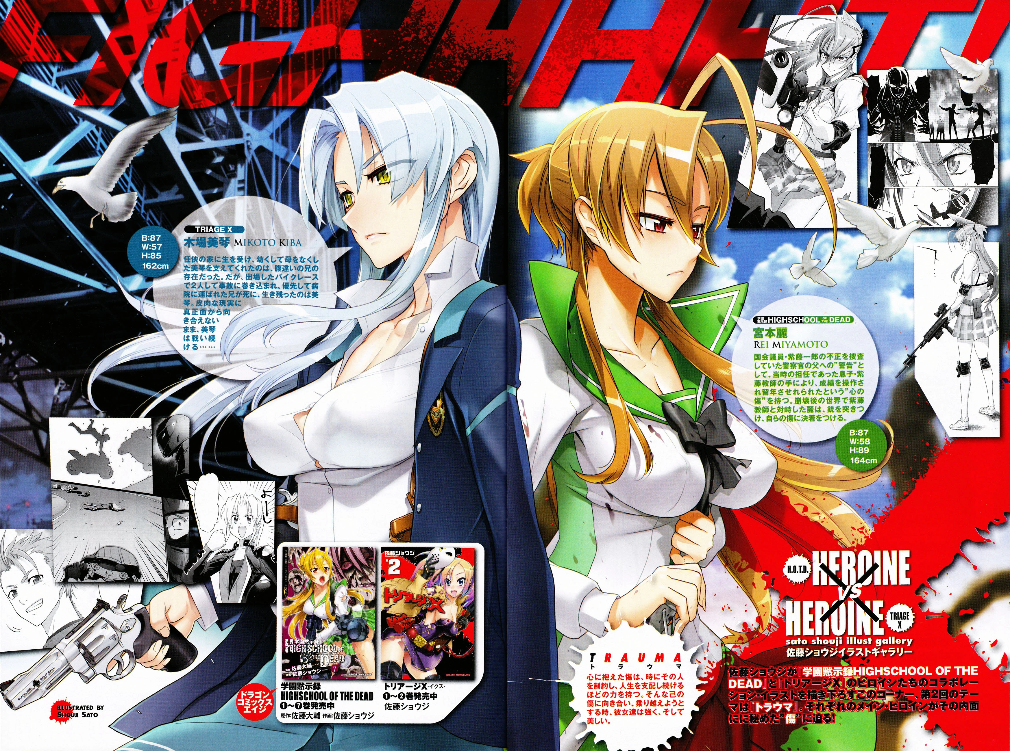 Heroine_vs_Heroine_ReivsMikoto.jpg