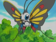 Sakura Beautifly