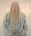 DumbledoreTheWhite.jpg