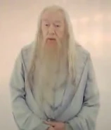 DumbledoreTheWhite