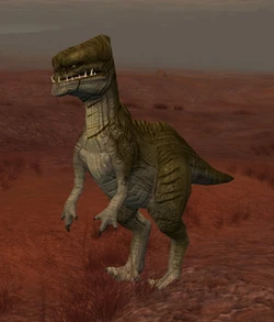 Rhoa Kwi.jpg