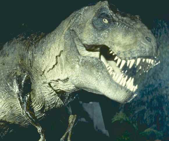 Jurassic_park_movie_image_t_rex_1_1.jpg