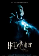 5HarryPotterylaordendelfenix