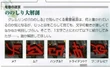 Bad mouth scan from ultimania