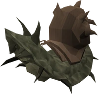Myre snail