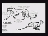 Concept misc011