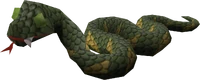 Swamp snake old