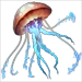 Item electricjellyfish 01