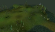 Swamp snakes old