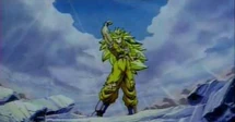 Goku81