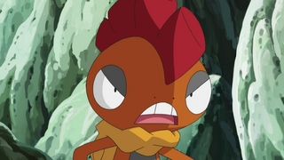 Scrafty