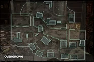 Map Overgrown MW2