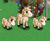 Cream Mini Horse & Foals.png (24 KB) Cream Mini Horse & Foals