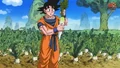 GokuRadish