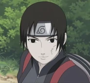 Sai