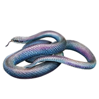 Huge item blueracer 01.png
