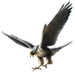 Item peregrinefalcon 01