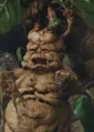 Mandragore.jpg