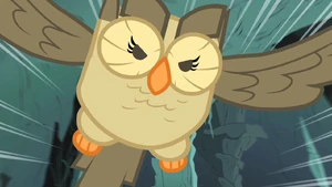 Owlowiscious saves the day S1E24
