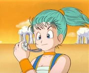 Bulma 4
