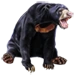 Item sunbear 01.png