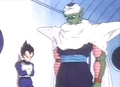 TWPlVegeta&Piccolo