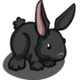 Black Rabbit-icon
