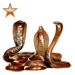 Item quiverofcobras bronze 01.png