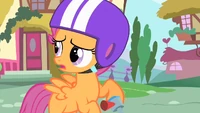 Scootaloo 'Uh?' S1E23