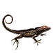 Item brownanole 01