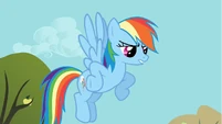Rainbow Dash talks to Applejack while flying S1E13