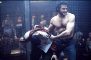 Logancagefight