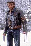 Wolverinesnow
