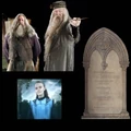 Famille Dumbledore.jpg