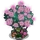 Fairy Roses-icon.png