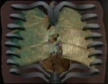 Talaxian lung.jpg