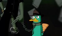 Perry.jpg encadenado AT2D