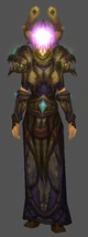 T10druid10Nicc