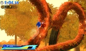 Mushroom-Hill-2