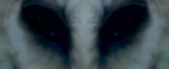 Fourth Kind owl