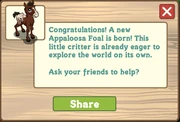 Appaloosa foal message