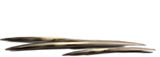 PorcupineQuills