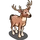 Deer Buck