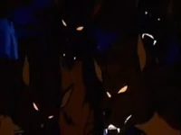 Wolfpac