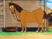 Caballo