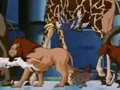 Animals1