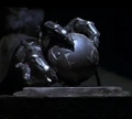 Gavel (2293).jpg